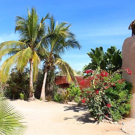 Flora Del Mar Todos Santos Bagian luar foto