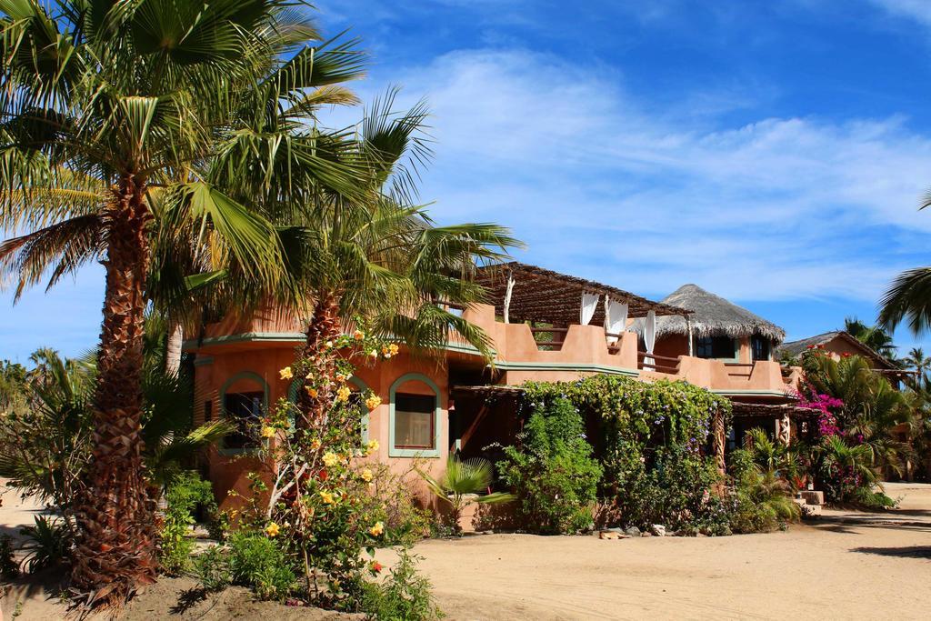 Flora Del Mar Todos Santos Bagian luar foto